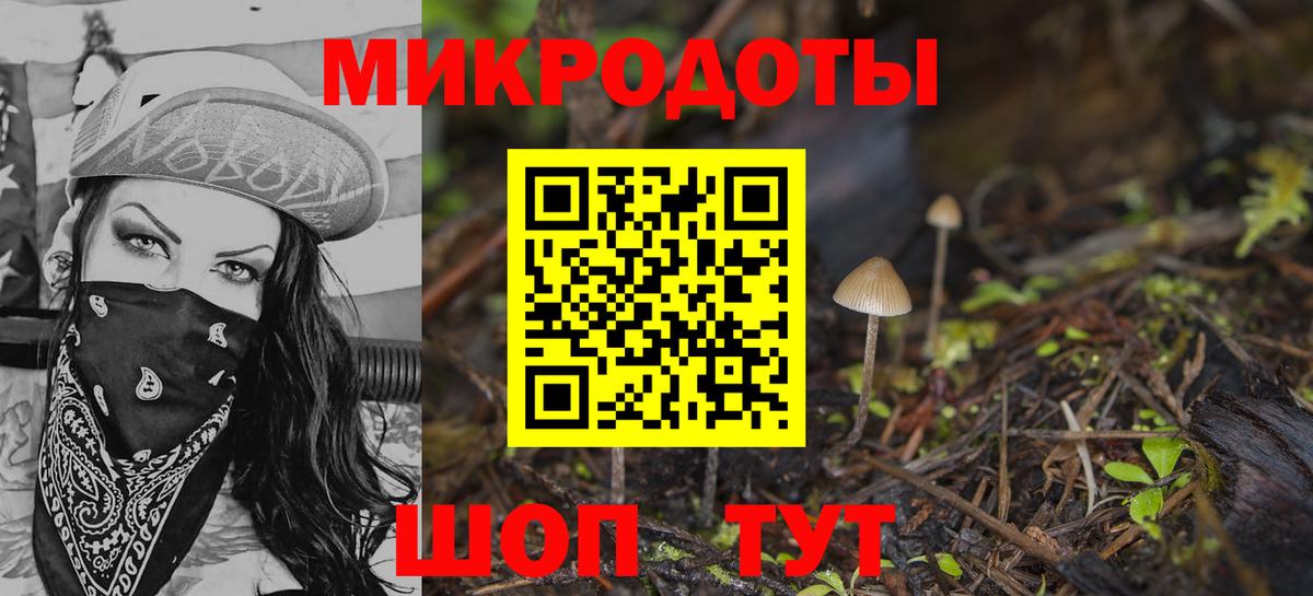 Псилоцибиновые грибы Psilocybine cubensis  Вход с VPN  Ипатово 
